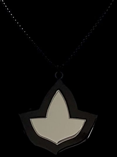 Stunning Two-Tone Black/Silver Large Ivy Necklace
